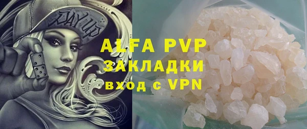 apvp Инсар