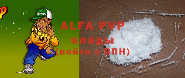 apvp Инсар