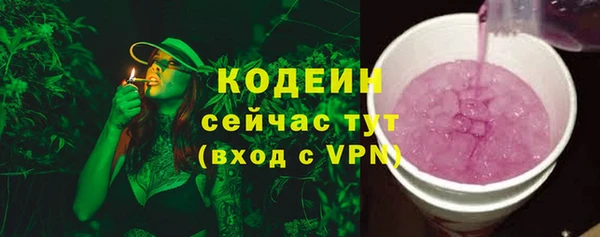 apvp Инсар