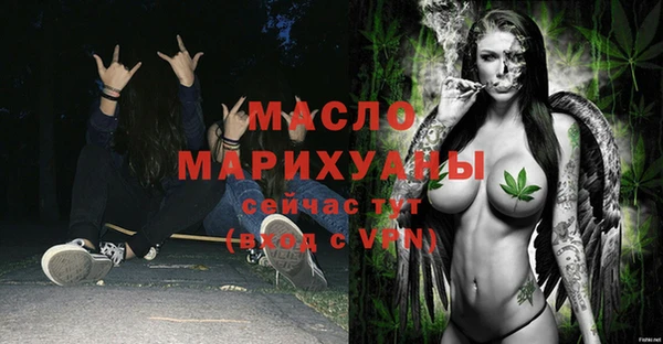apvp Инсар