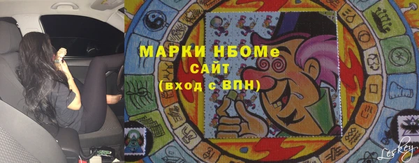 apvp Инсар