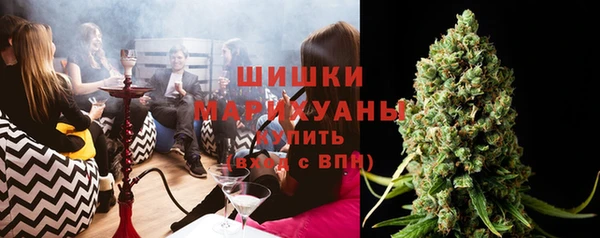 apvp Инсар