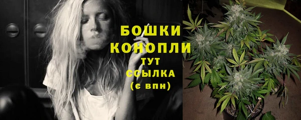 apvp Инсар