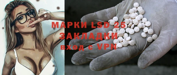 apvp Инсар