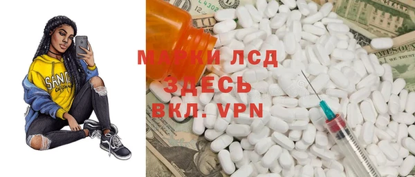 apvp Инсар