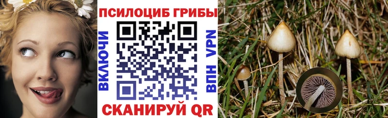 Галлюциногенные грибы MAGIC MUSHROOMS  Купить закладки  Анжеро-Судженск 